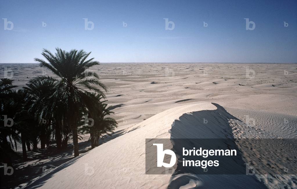 Sahara desert, South Tunisia, Tunisia, North Africa (photo)