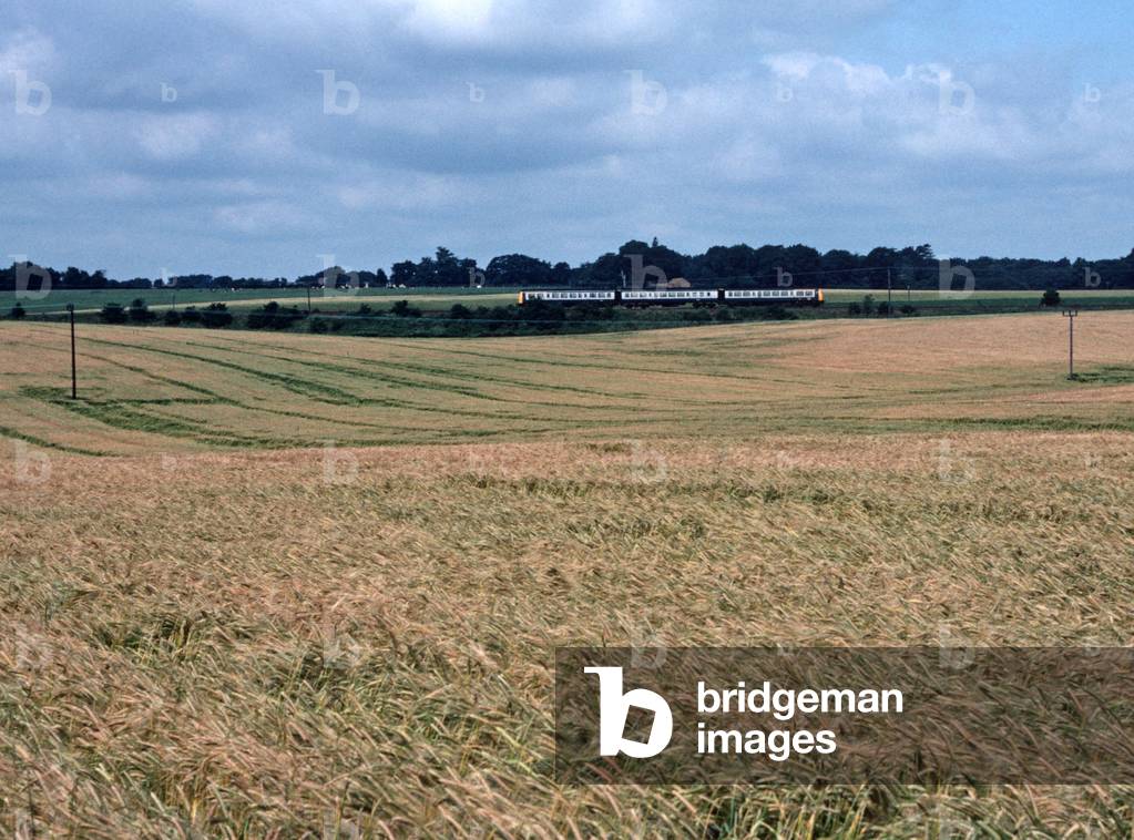 Diesel Multiple Unit on a stretch of line between Norwich and Sheringham, Norfolk, England, 1982 (photograph)