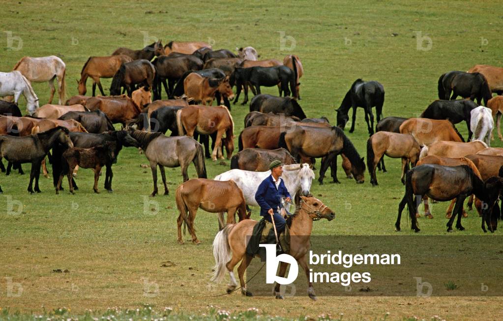 Horse breeders at work, Inner Mongolia grasslands, China, 1985 (photo)