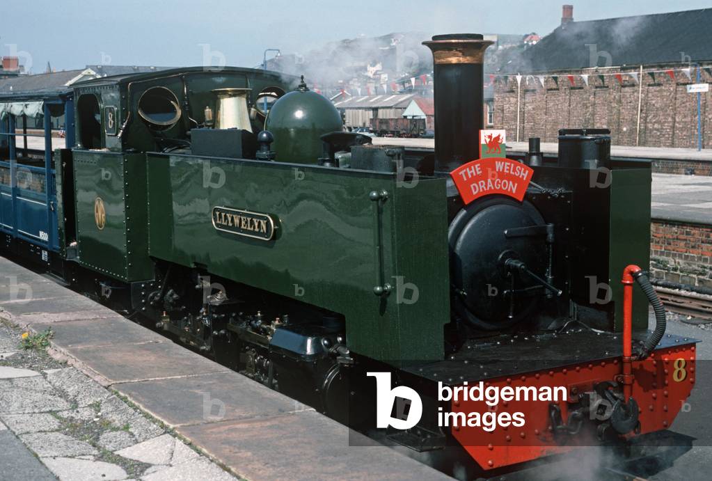 Steam train at Aberystwyth railway station, Vale of Rheidol line, British Rail last operating steam trains, Wales, 1982 (photograph)