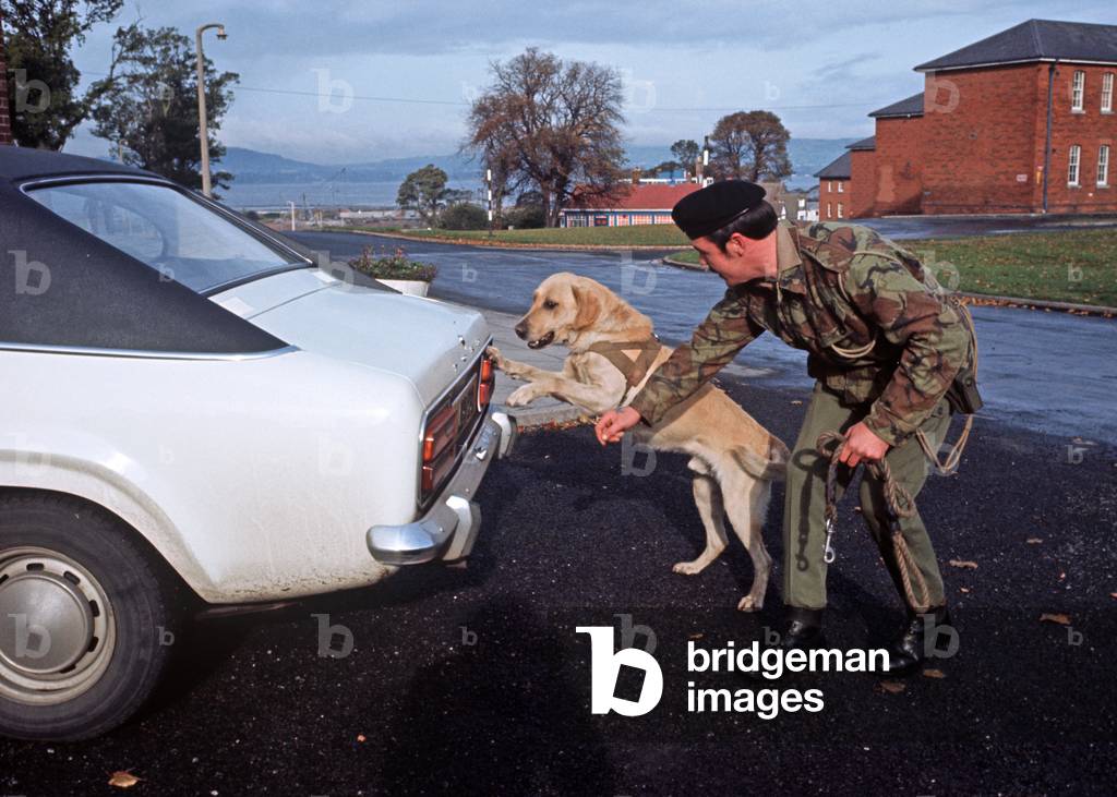 British Army dog handler with his bomb sniffer dog during The Troubles, Northern Ireland, 1972