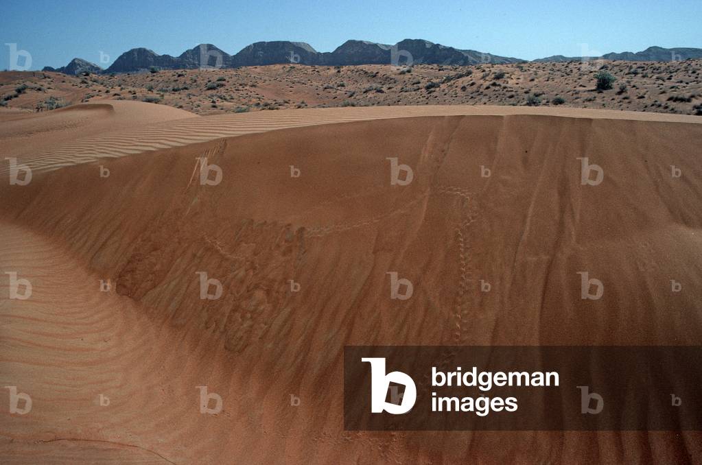 United Arab Emirates Desert, UAE