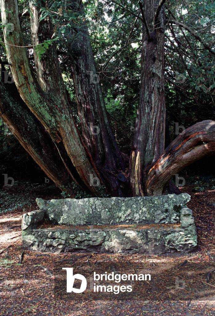 Stone Seat In Coole Park. Coole Park House, Once The Home Of Lady Augusta Gregory Co-Founder Of The Abbey Theatre With W. B. Yeats And Edward Martyn Of Tulira Castle. Coole Park House Was Demolished In 1941 After Having Been Left In A State Of Disrepair After The Death Of Lady Gregory In 1932.  (photo)