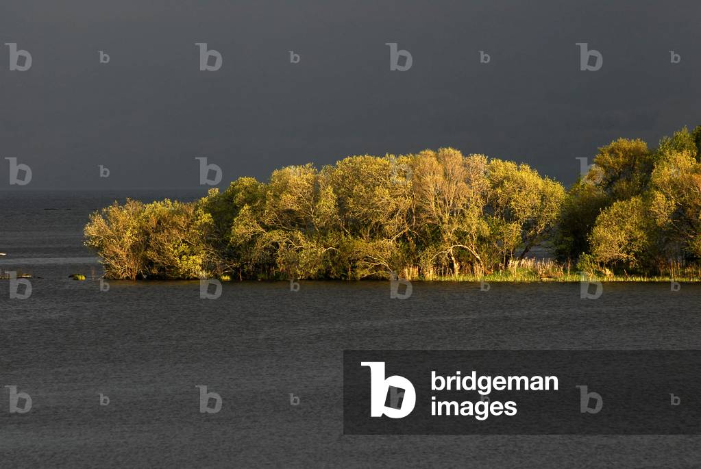 Lower Lough Erne, County Fermanagh, Northern Ireland, UK (photo)