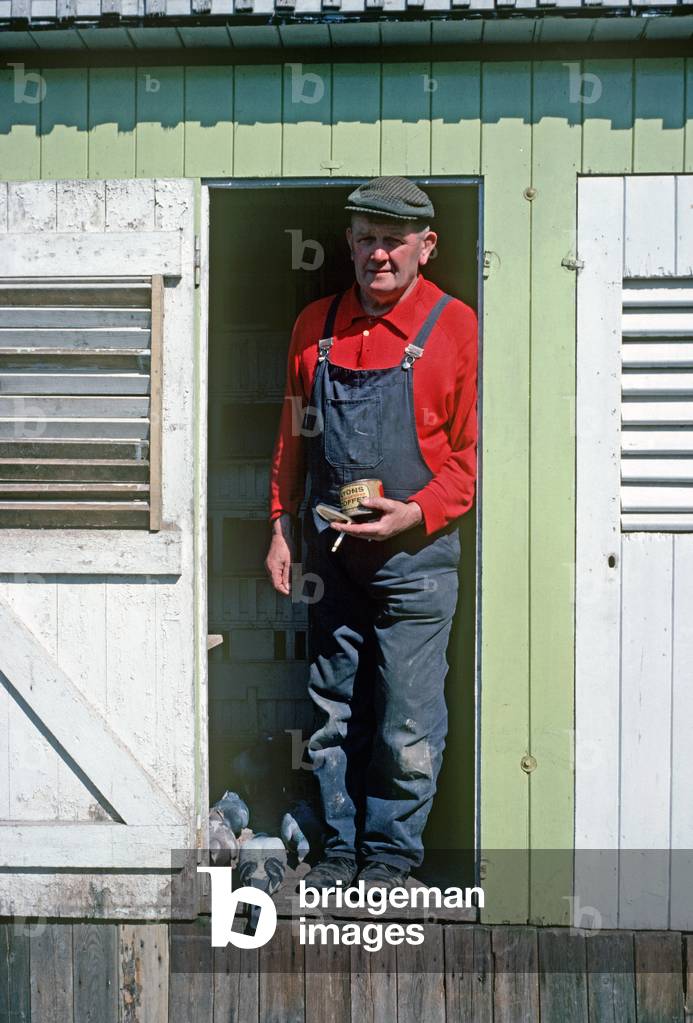 Pigeon fancier, Eastwood, South Nottinghamshire (photo)