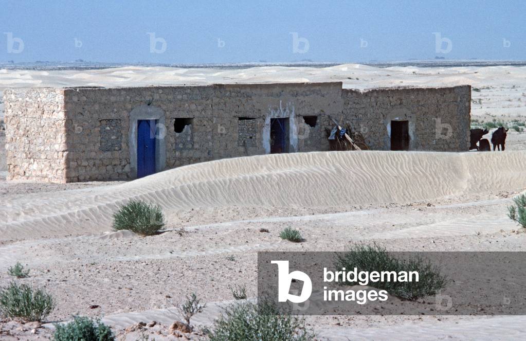 Arab Berber Sahara desert dwelling, South Tunisia, Tunisia, North Africa (photo)