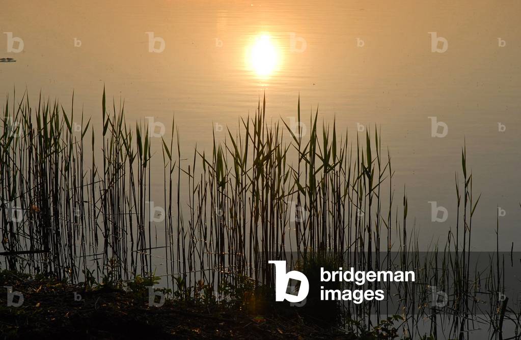 Sun reflected on Upper Lough Erne, County Fermanagh, Northern Ireland, UK (photo)