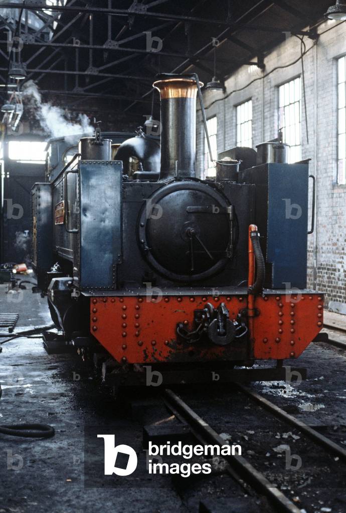 Steam trains locomotive shed in Capel Bangor, Vale of Rheidol line. British Rail last operating steam trains, Wales, 1982 (photograph)