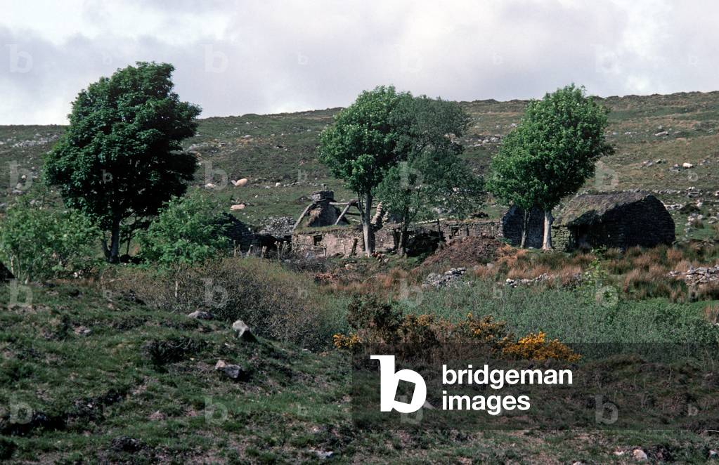 Abandoned farm house in the Blue Stack Mountains, Donegal, Ireland (photo)