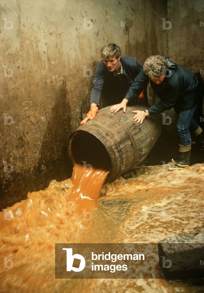 ILLEGAL DISTILLING OF POTCHEEN, POTEEN, IRELAND 1980s