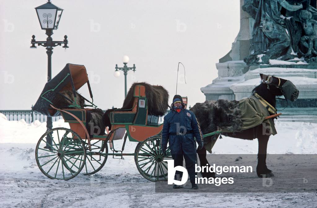 Tourist sight seeing tours in horse and carriage, Quebec City in winter, Quebec Province, Canada (photo)