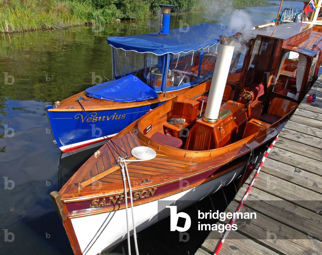 Steam launches tied up at the Crom Estate jetty, Upper Lough Erne, Northern Ireland, UK (photo)