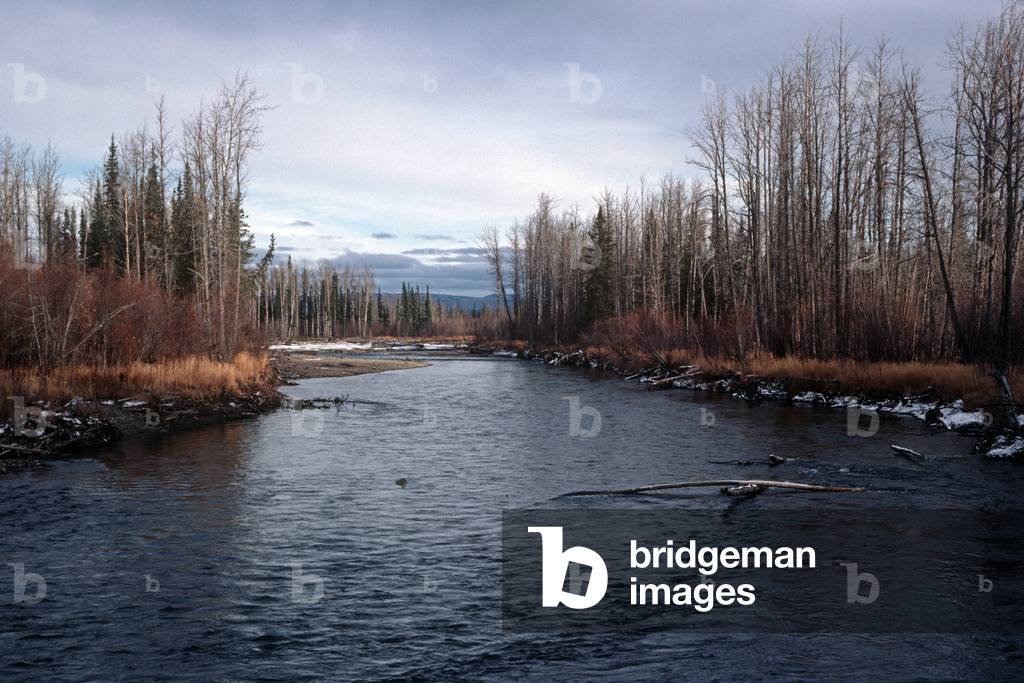 Klondike River near Dawson City, Yukon Territories, Canada (photo)