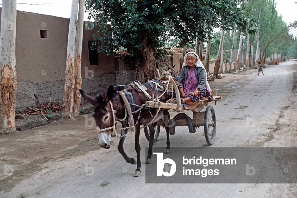 Donkey and cart with Uyghur woman, Turpan, Xinjiang Province, China, 1985 (photo)