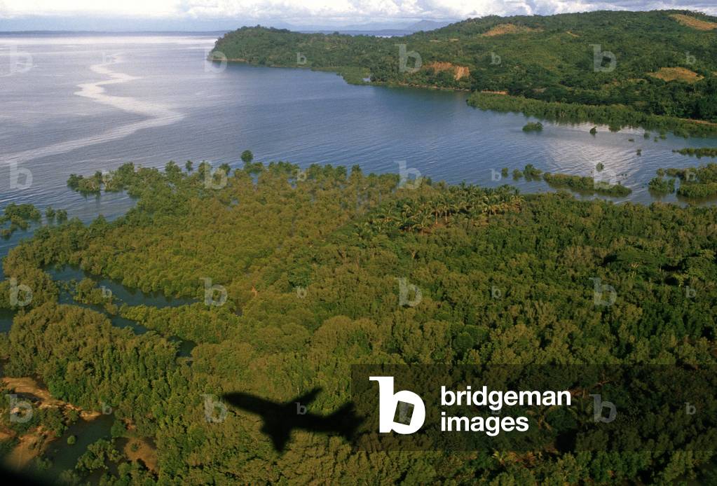 Plane shadow, flying over Madagascar rain forest, East Africa, Africa, 1980s (photo)