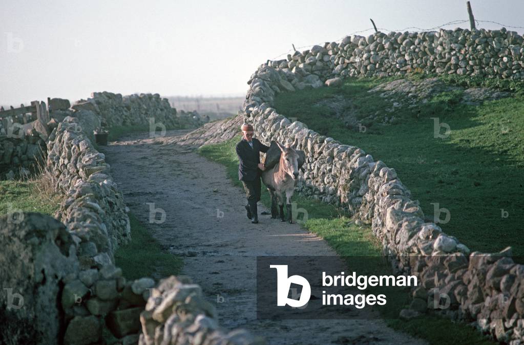 Islanders from Inishturbot carrying belongings along stone walled lane during abandonment of island, Connemara, County Galway, Ireland (photo)