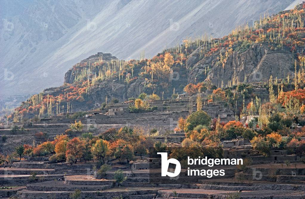 Hunza Valley in autumn,  Karakoram Mountains, Gilgit-Baltistan Administrative Area, Pakistan (photo)