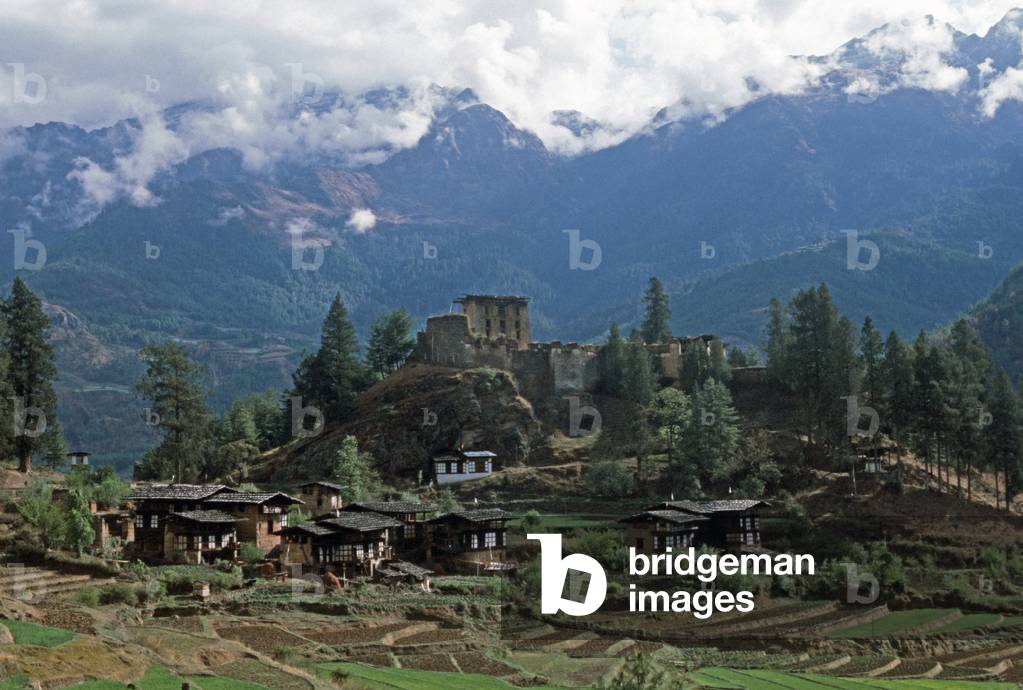 Bhutanese houses in Paro valley, Bhutan, Himalayas (photo)
