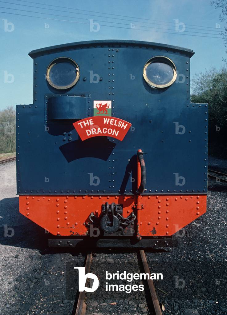 Steam train at Devil's Bridge, Vale of Rheidol line, British Rail last operating steam trains, Wales, 1982 (photograph)