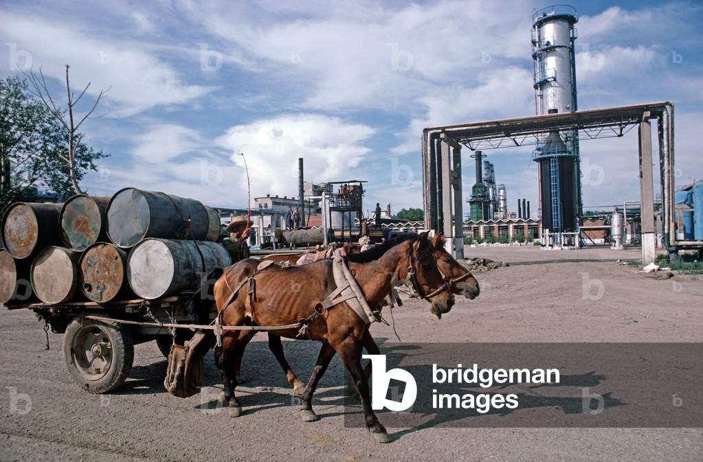 Petroleum refinery in Daqing, Heilongjiang Province, China (photo)