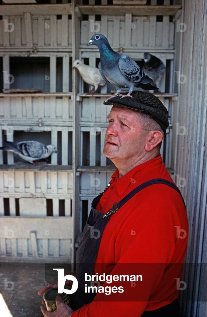 Pigeon fancier, Eastwood, South Nottinghamshire (photo)