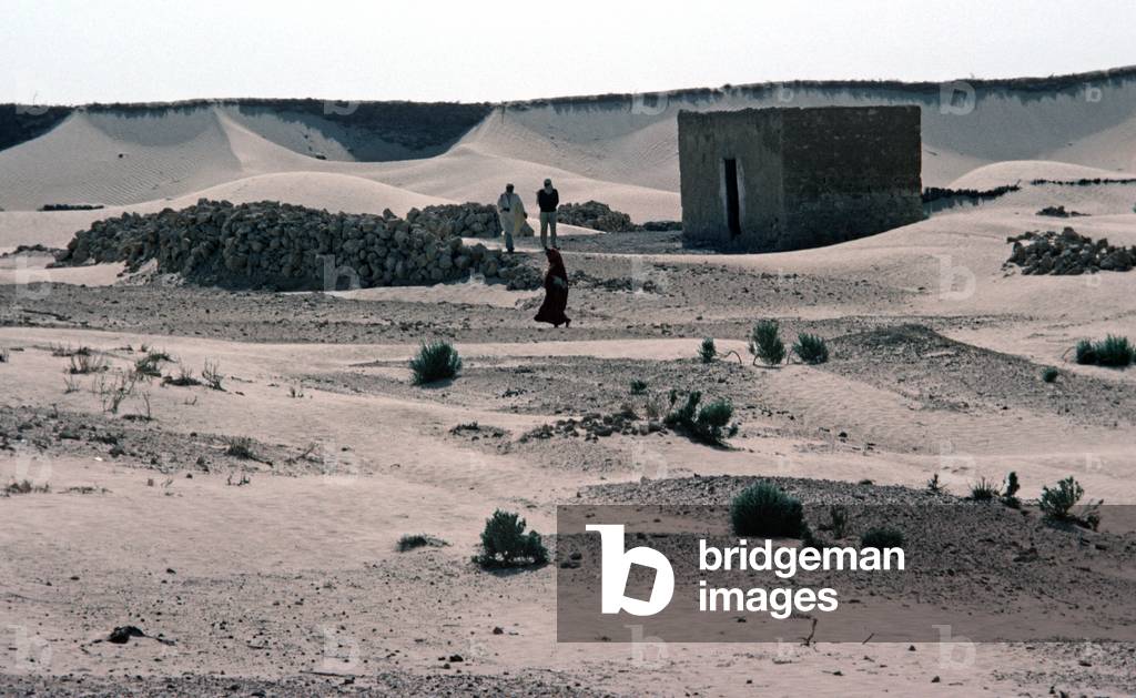 Arab Berber Sahara desert dwelling, South Tunisia, Tunisia, North Africa (photo)