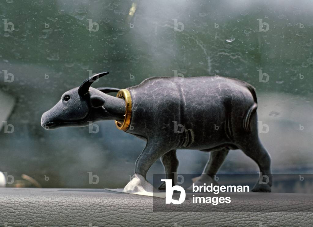 nodding bullock on back shelf of car, Shenyang, China. (photo)
