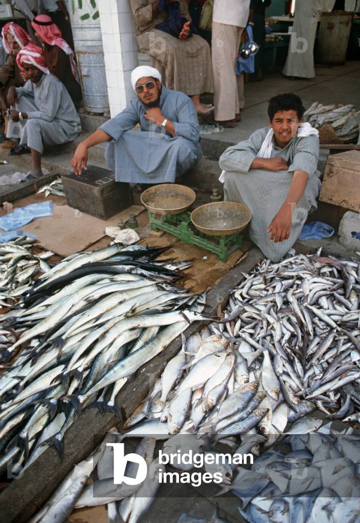 Dubai fish market, Dubai, United Arab Emirates, UAE