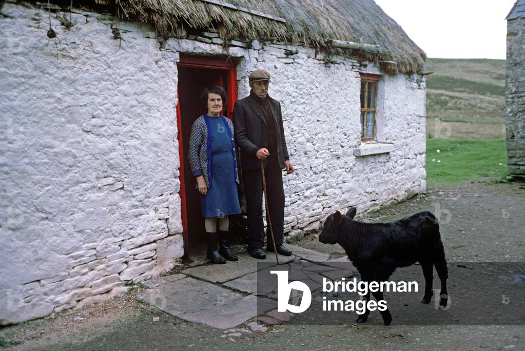 Blue Stacks Mountains, farming couple standing outside their farmhouse with young calf, Donegal, Ireland (photo)