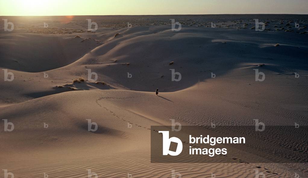 Sahara desert, South Tunisia, Tunisia, North Africa (photo)