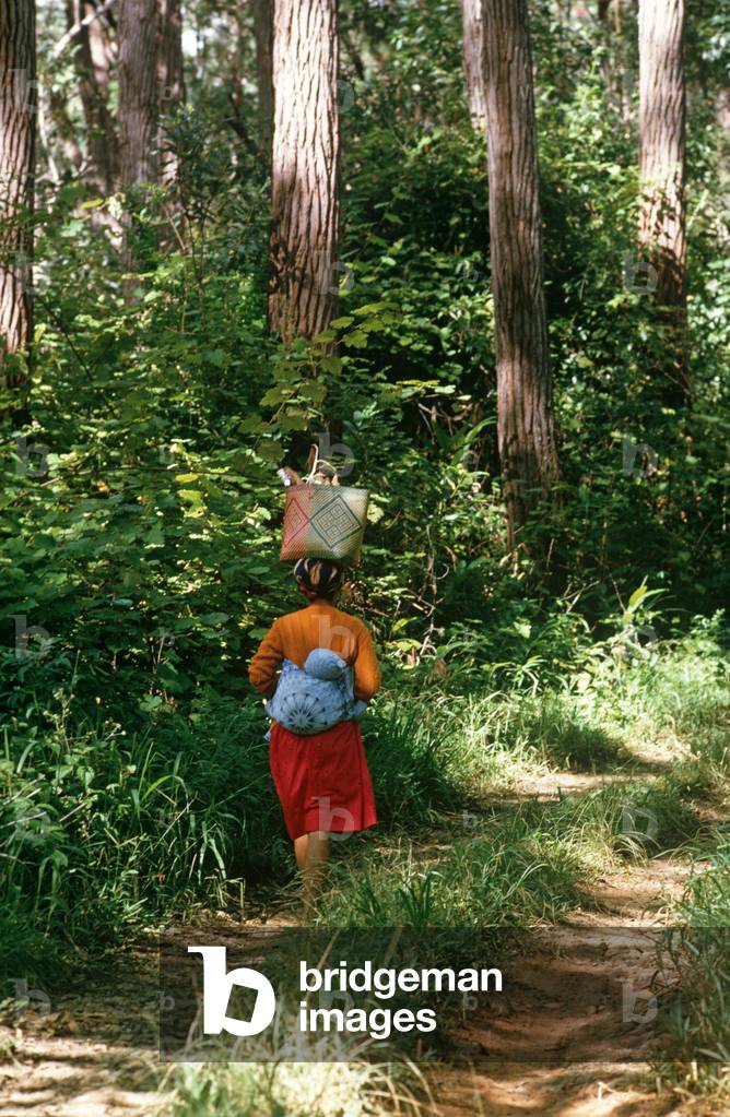 Woman with basket on head and baby strapped to her back walking through Perinet reserve, famous for its Lemurs, Madagascar, East Africa, Africa, 1980s (photo)