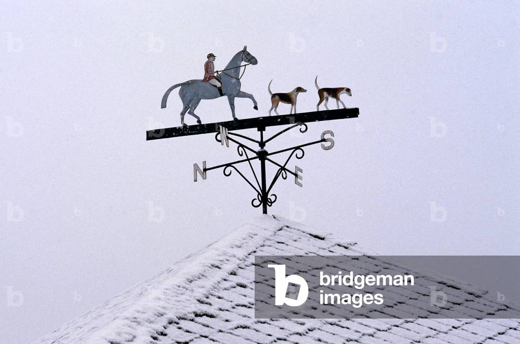 Weather Vane On Fox Hunting Farm, County Kilkenny, Ireland. Hunting Referred To By W. B. Yeats In 'Hound Voice'.  (photo)
