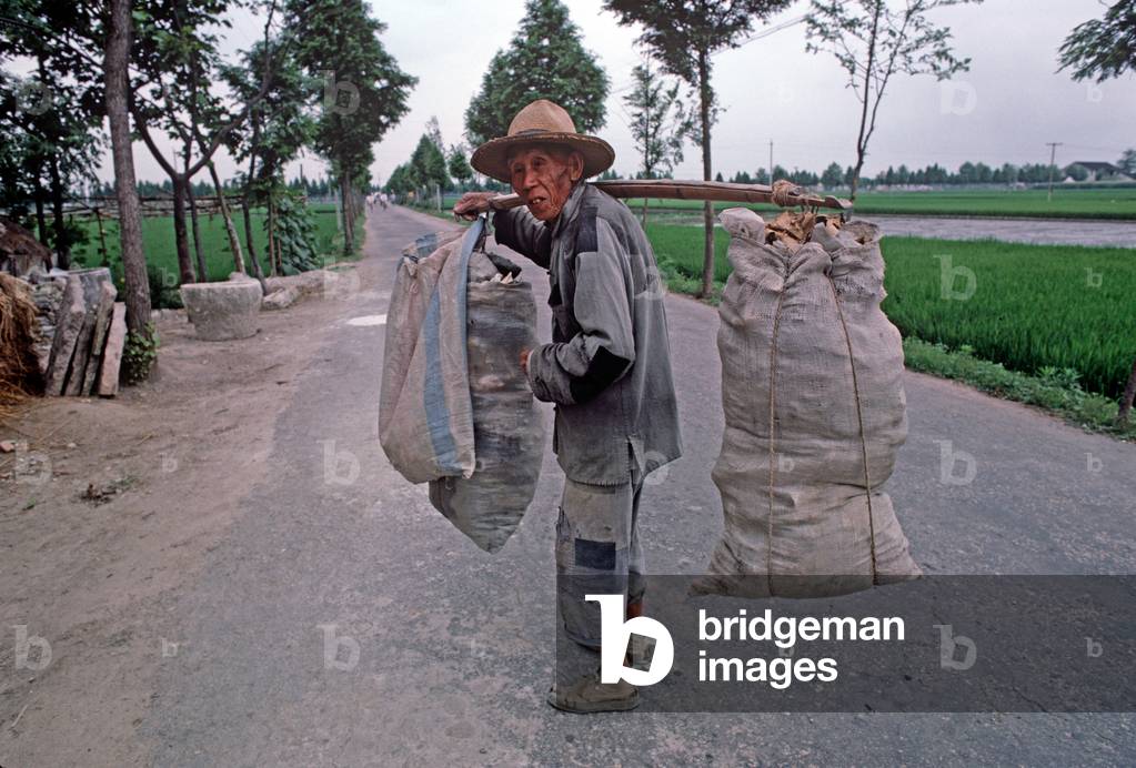 Itinerant worker collecting odd bits of cardboard and material in bags between bamboo pole, Shoaxing, China (photo)