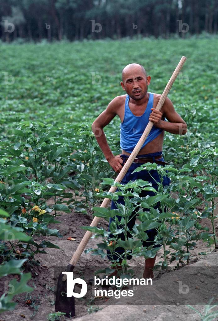 Agricultural worker in Turpan, Xinjiang Province, China, 1985 (photo)