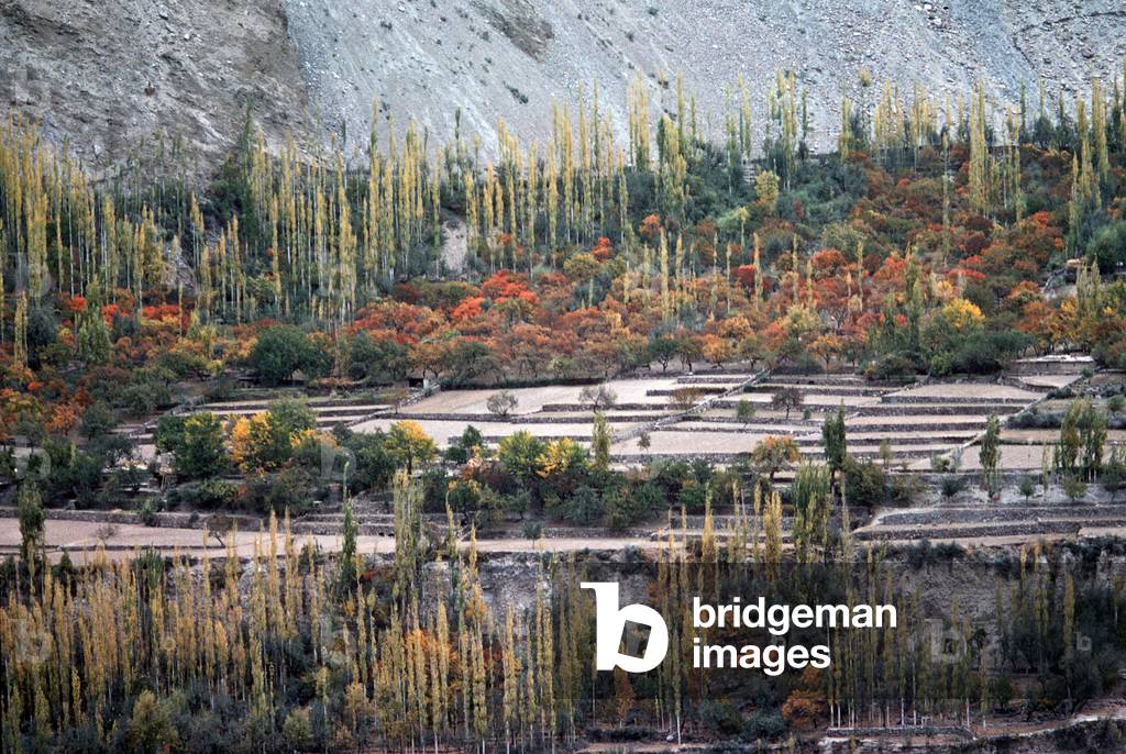 Hunza Valley in autumn,  Karakoram Mountains, Gilgit-Baltistan Administrative Area, Pakistan (photo)