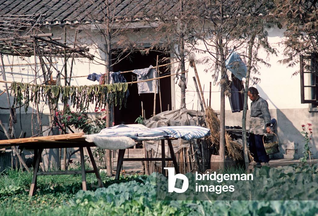 House with vegetable patch, Hung-Chiao commune, China, 1979 (photo)
