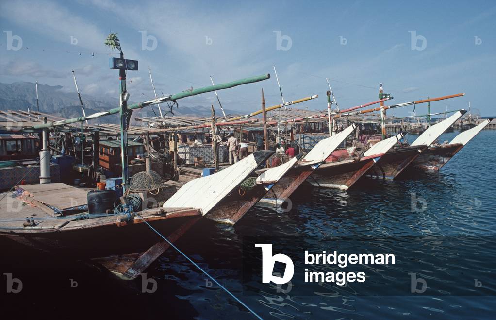 Fishing dhows, Arabia Gulf, Sharjah, United Arab Emirates, UAE