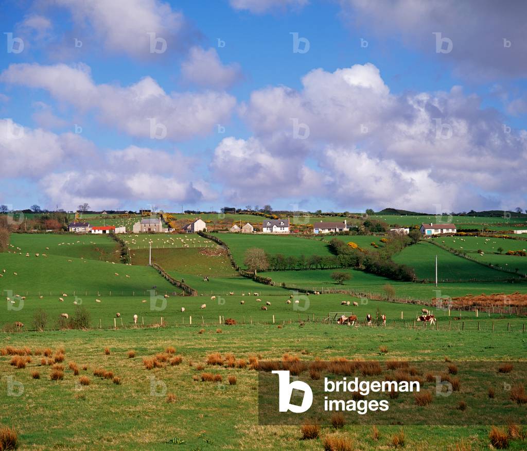County Antrim rural farming landscape, County Antrim, Northern Ireland (photo)