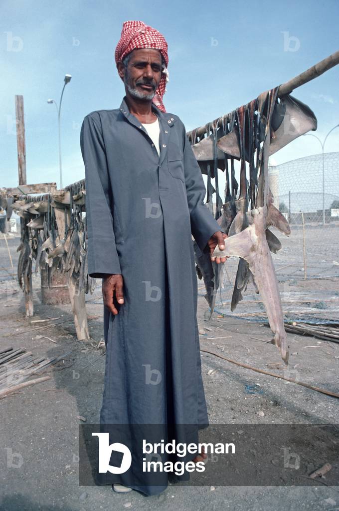 Shark fins drying in Sharjah fishing harbour, United Arab Emirates