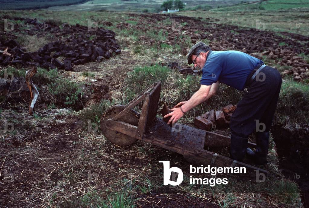 Blue Stack Mountains farmer placing freshly cut peat onto wooden wheelbarrow, Donegal, Ireland (photo)