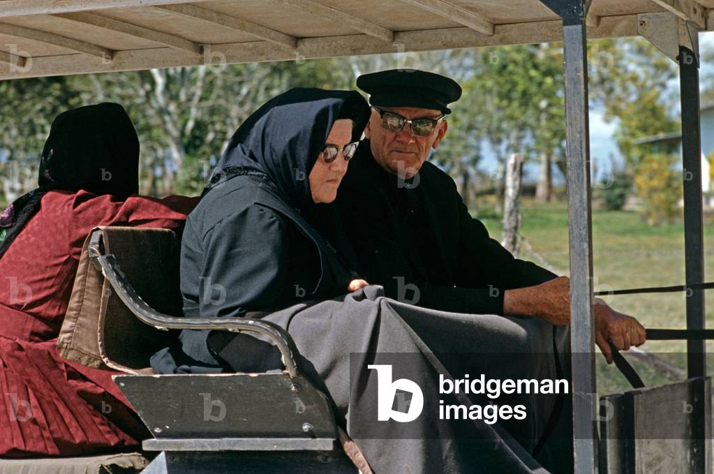 Orthodox Mennonites in horse and buggy, Belize, Central America, June 1985 (photo)