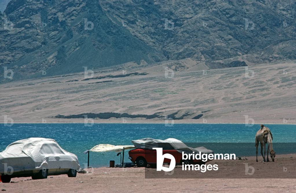Cars protected by white sheets against blazing sun on beach near Sharm El Sheik during Israel occupation of Sinai Peninsula, 1981 (photo)