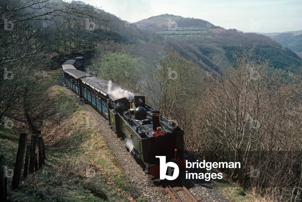 Steam train on the Vale of Rheidol line, British Rail last operating steam trains, Wales, 1982 (photograph)