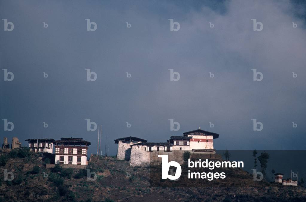 Bhutanese houses in Paro valley, Bhutan, Himalayas (photo)