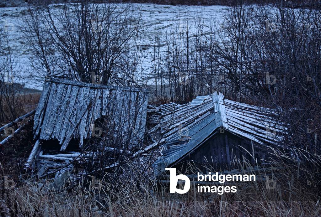 Collapsed gold miners Bonanza Creek log cabin,  Dawson City, Yukon Territories, Canada (photo)