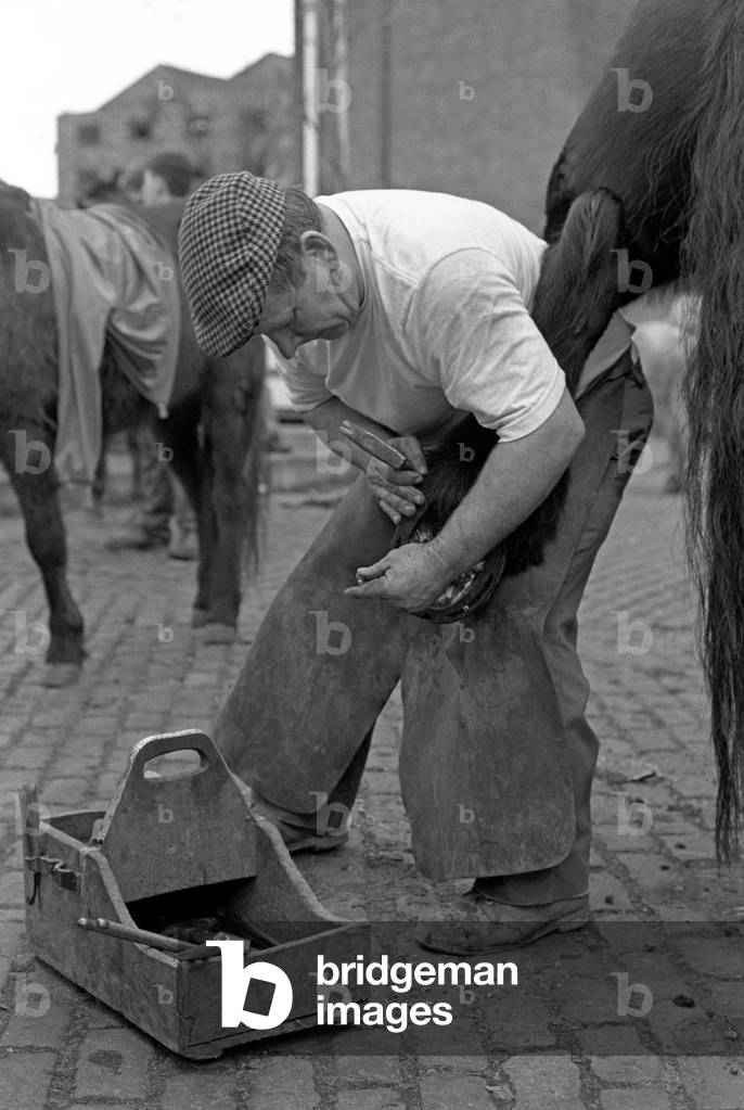 Blacksmith horseshoeing in Smithfield horse market, Dublin, Ireland, 90s
