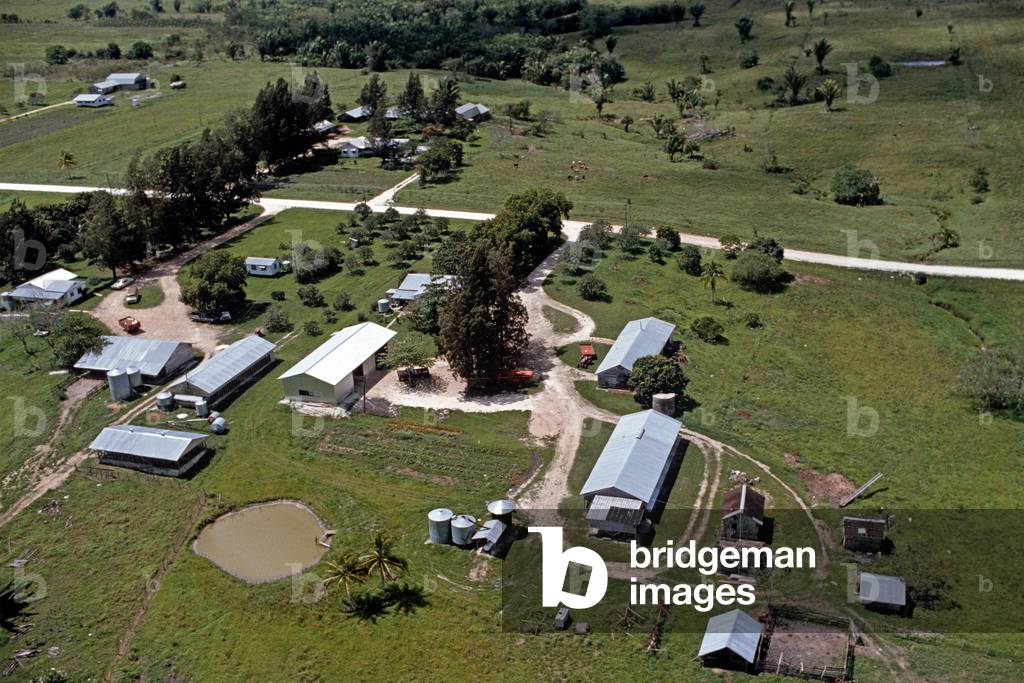 Spanish Lookout farms in Mennonite settlement from the air, Belize, Central America, June 1985 (photo)