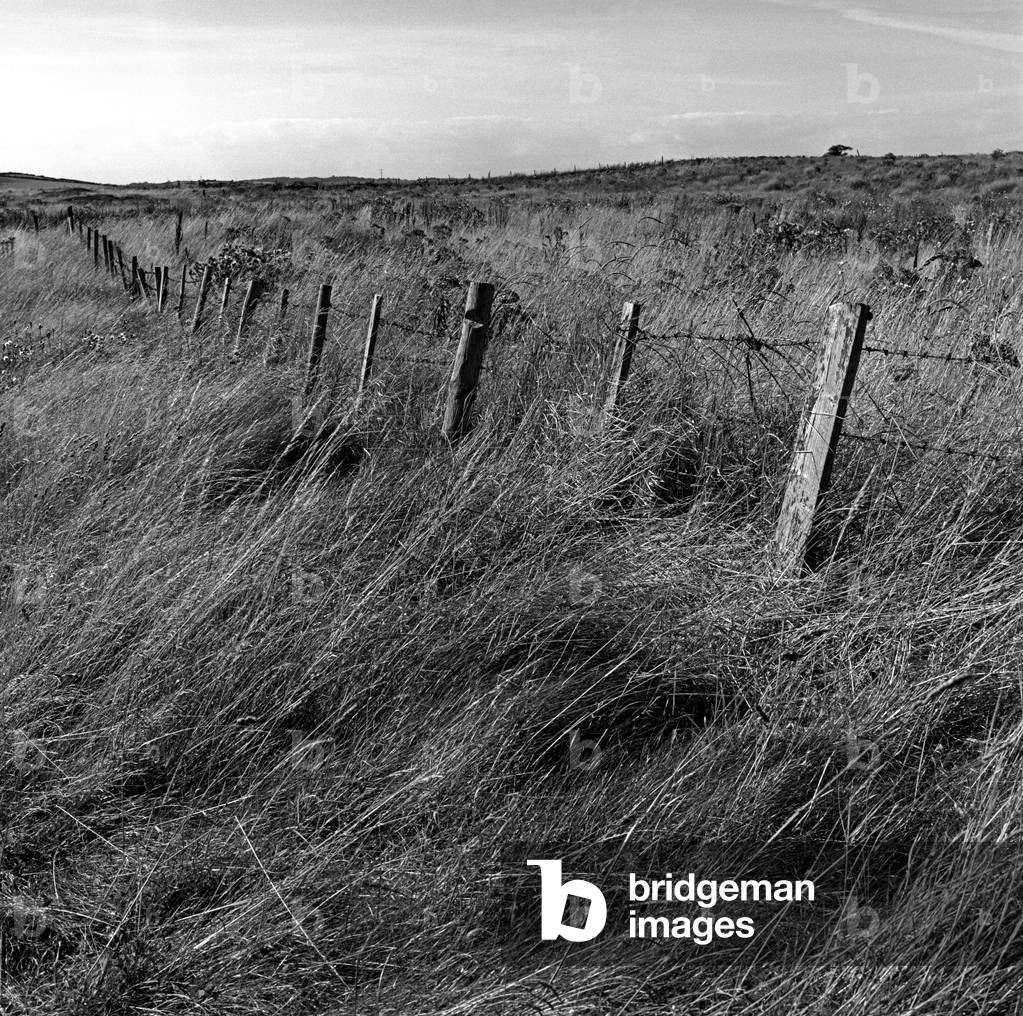 Irish Sea coastline fence and fields, Co Down, Northern Ireland (b/w photo)