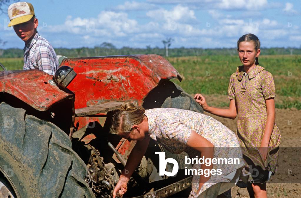 Mennonites from Spanish Lookout settlement working on farmland, Belize, Central America, June 1985 (photo)