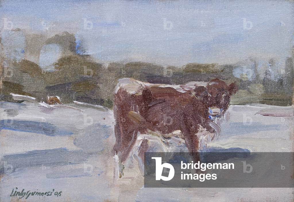 Mollie Calf in the Snow, (oil on board)